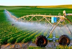 Черкаська область – лідер зі створення організацій водокористувачів, – Микола Сольський