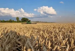 Черкащина входить до трійки лідерів по урожайності зернових культур