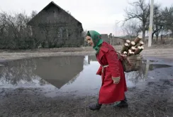 Мінекології вирішило, як використовувати землі в радіаційній зоні Чорнобиля