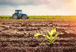 Цифрове землеробство: аграрії можуть безкоштовно отримати комплект обладнання