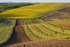 Уряд врегулював внесення даних до кадастру при зміні цільового призначення земель