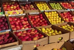 Вартість яблук суттєво зросла: деякі сорти здорожчали на 90%