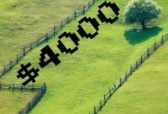 Ціна паю на Волині — $4000
