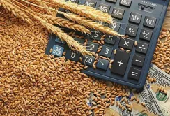 Ситуація на ринку сільгосппродукції: що відбувається з цінами