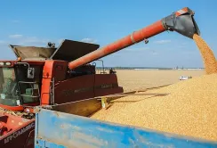 Ціни на агропродукцію: основні тенденції на ринку