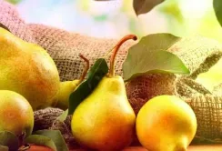 Ціни на груші в Україні впали на 25% на тлі зростання пропозиції