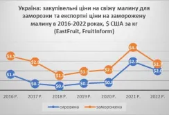 Цінам на малину притаманна циклічність