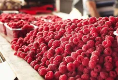 Аналітики спрогнозували ціни на малину в новому сезоні