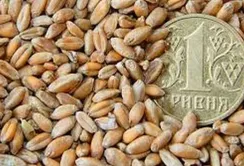 Ціни на пшеницю в українських портах продовжують знижуватись