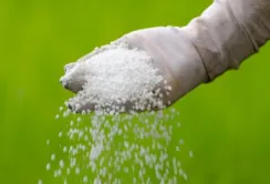 OSTCHEM знизив ціни на селітру