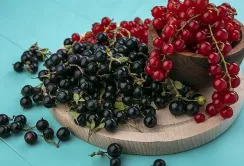 Цьогоріч ціни на смородину зросли удвічі