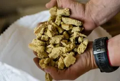 Ціни на соєву макуху в травні досягли 4-місячного максимуму