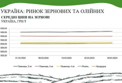 В AgroMarket UUB опублікували аналітичний звіт ринку зернових та олійних за березень