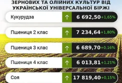 Ціни на зернові залишаються стабільними, незважаючи на занепокоєння щодо посухи та тиск з боку експорту