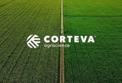 В Україні зростає попит на насіння передової генетики бренду Pioneer® та інноваційні засоби захисту рослин від Corteva Agriscience
