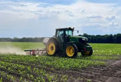 Corteva Agriscience збільшила кількість насіннєвих гібридів, які вирощуються в Україні
