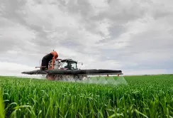 Corteva Agriscience та Ощадбанк пропонують фермерам скористатися програмою кредитування за зниженими ставками для закупівлі засобів захисту рослин