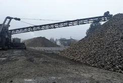 Врожайність цукрового буряка на Волині — 450 ц/га
