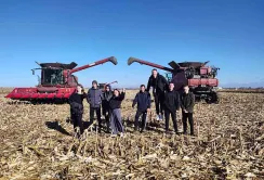 В Cygnet Agrocompany закінчили збирати врожай
