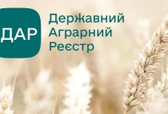 Через ДАР можна подавати електронну звітність до органів статистики