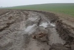 ООН розробляє портал даних про стан грунтів