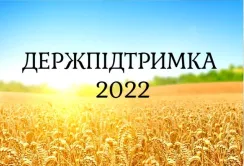 Подати заяву на державну підтримку можна до 30 листопада