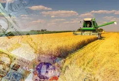 До кінця січня влада обіцяє оприлюднити всі програми підтримки агросектору на 2023 рік