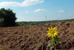 Державна підтримка фермерам невигідна