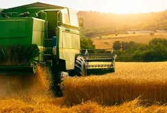 Державні програми підтримки агровиробників будуть працювати і наступного року, – Тарас Висоцький