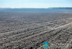 Диканській селищній раді повернули понад 100 га землі, яку орендар використовував не за призначенням