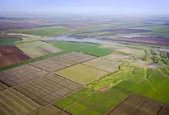 Росіяни зібрались ділити українську землю
