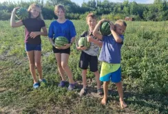 Діти працювали на баштані, щоб купити тепловізор для ЗСУ