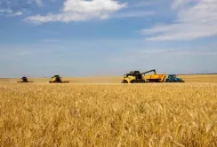 Зібраного врожаю на Дніпропетровщині вистачить для декількох регіонів