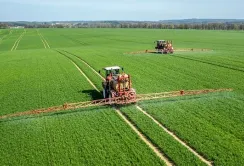 За тиждень ситуація з добривами трохи покращилась