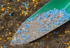 ВАР прокоментувала заяву Ostchem про запровадження мита на добрива