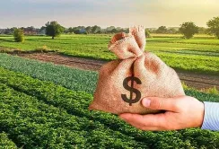 Земельний банк: бюджети різних рівнів отримали 343,7 млн грн