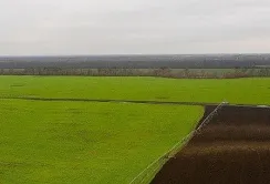 У податковій пояснили, чи оподатковуються доходи від продажу успадкованої землі