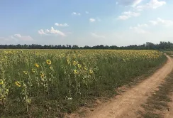 На Донеччині державі повернули 106 га сільгоспугідь вартістю 153 млн грн