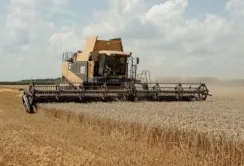 Фермери Донеччини не поспішають продавати врожай