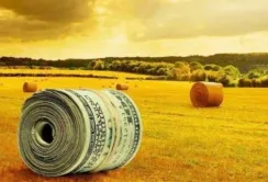 Щоб отримати допомогу в жовтні, потрібно подати заявку у вересні