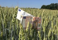 Нідерланди виділили 50 млн євро на розмінування та допомогу українським фермерам