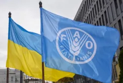 Фермери Миколаївщини отримають генератори та насіння від ФАО