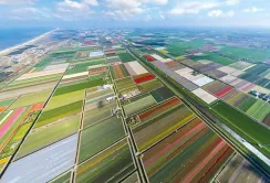 Україна перейматиме досвід Нідерландів в агросекторі