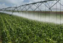 Дотації організаціям водокористувачів: документи потрібно подати до 20 листопада