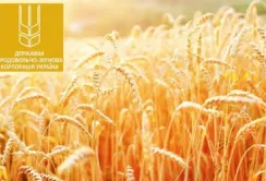 ДПЗКУ відкрила антикорупційну лінію довіри