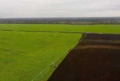 З нового року дрібні фермери можуть залишитись без землі