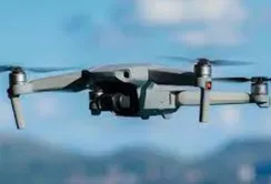 Сади в Японії будуть охороняти дрони