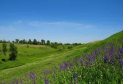 На Київщині захистили від розорювання цінний природний комплекс