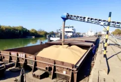 Дунайське пароплавство запустило нову лінію з перевезення зерна до Румунії