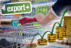 Євроквота не є вирішальною для українського експортера, - О. Трофімцева